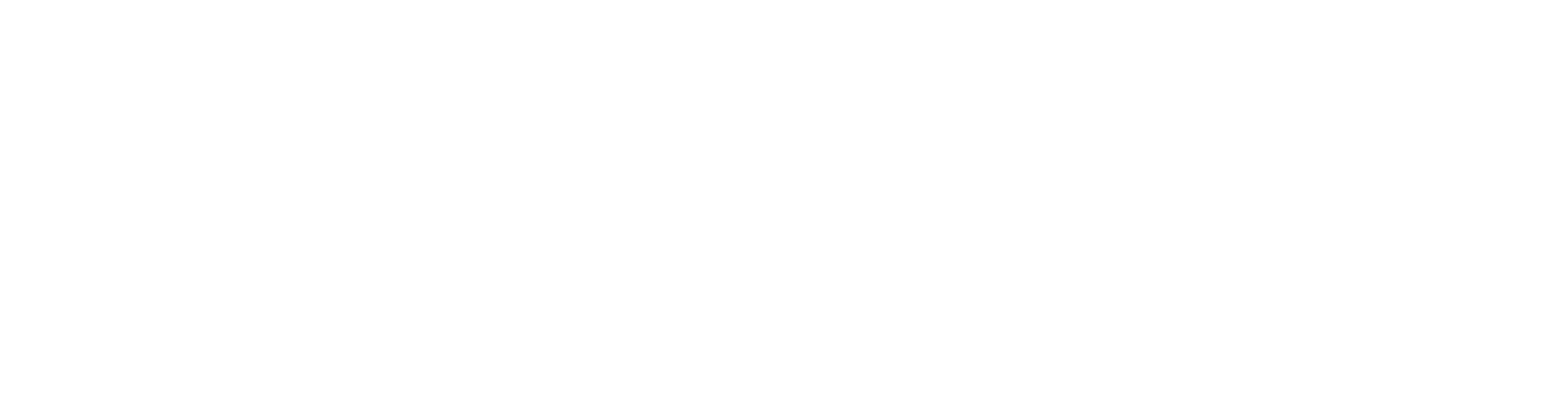 Amazon Advertising Partner